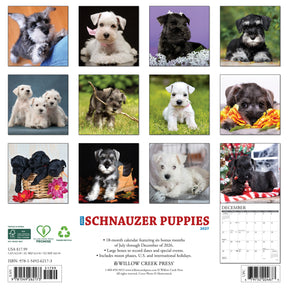 Willow Creek Press - 2027 Schnauzer Puppies Calendar