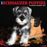 Willow Creek Press - 2027 Schnauzer Puppies Calendar