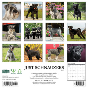 Willow Creek Press - 2027 Schnauzers Calendar