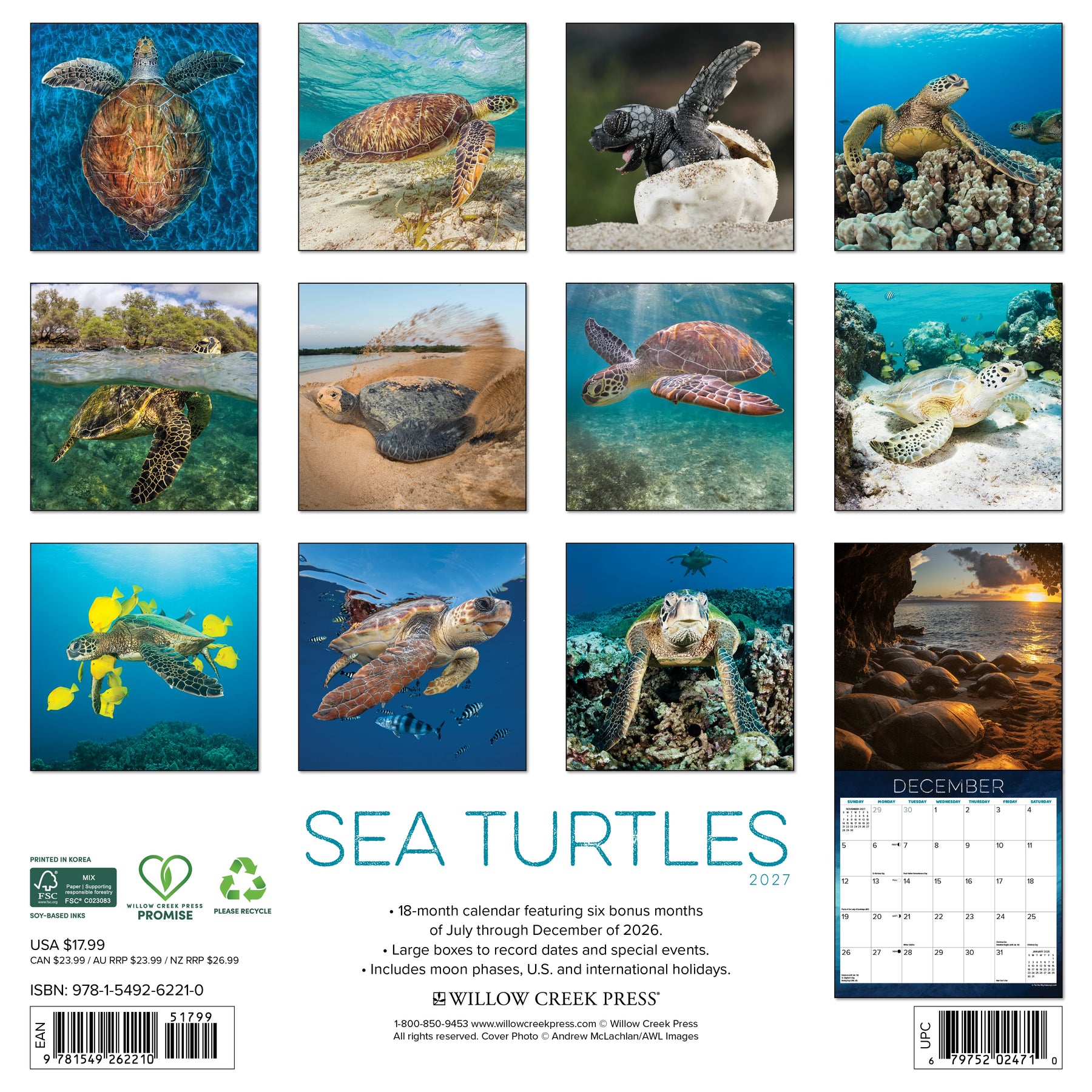 Willow Creek Press - 2027 Sea Turtles Calendar
