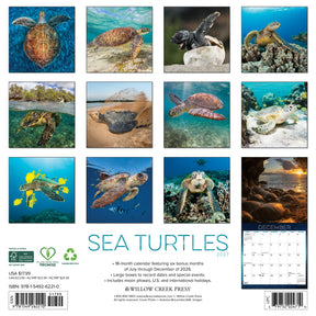 Willow Creek Press - 2027 Sea Turtles Calendar