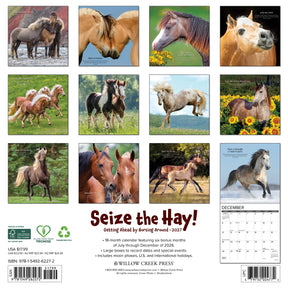 Willow Creek Press - 2027 Seize The Hay Calendar