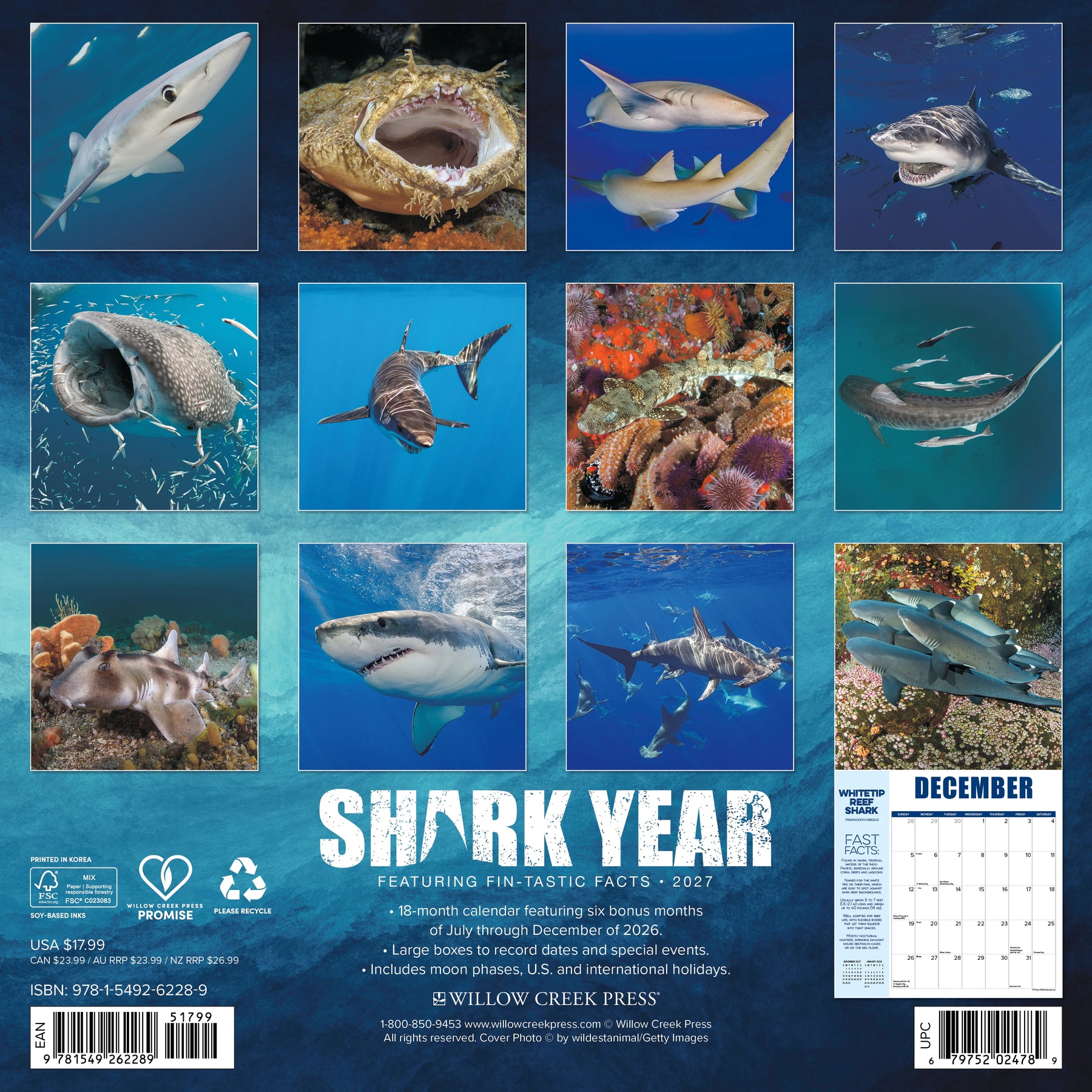 Willow Creek Press - 2027 Shark Year Calendar