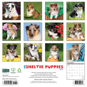 Willow Creek Press - 2027 Sheltie Puppies Calendar