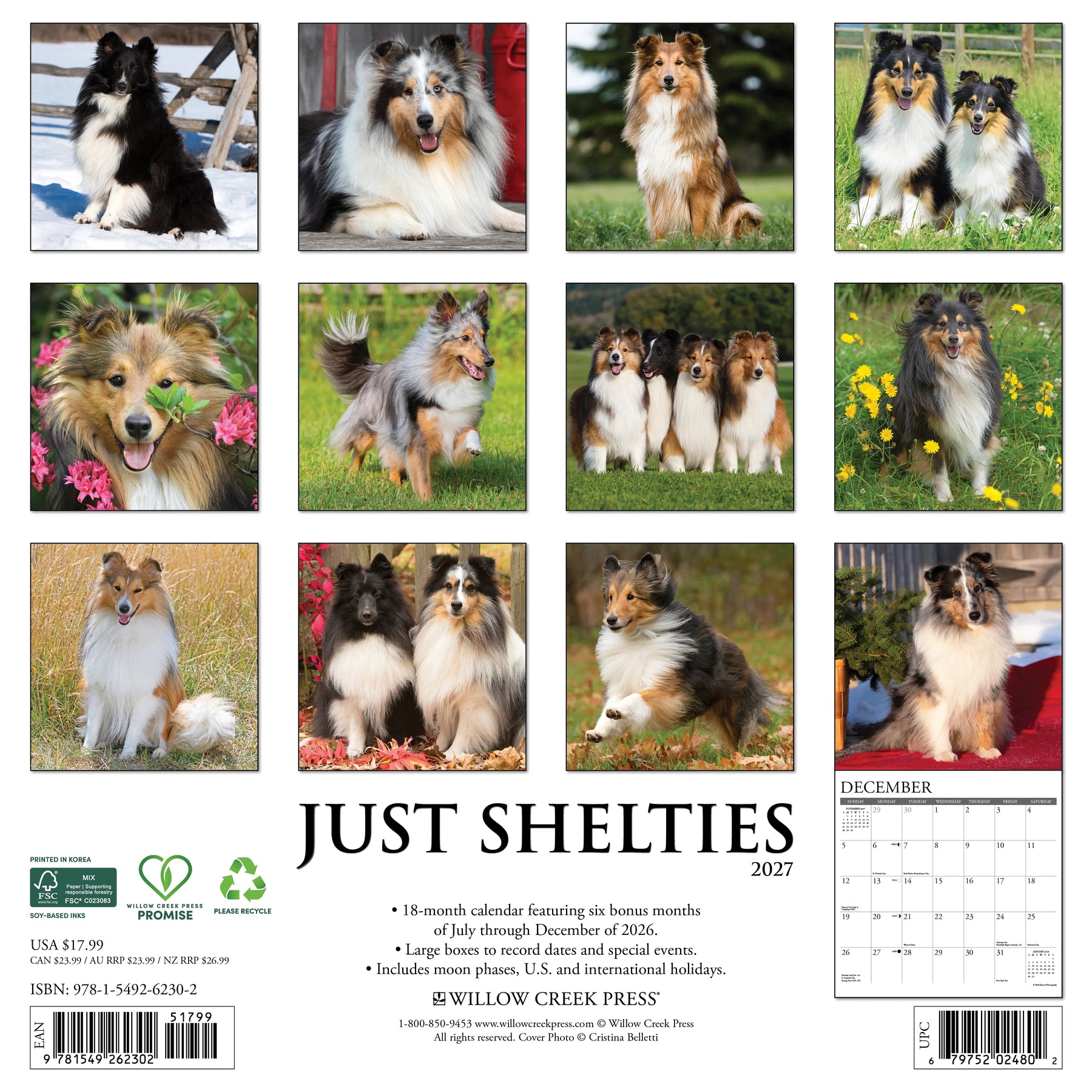 Willow Creek Press - 2027 Shelties Calendar