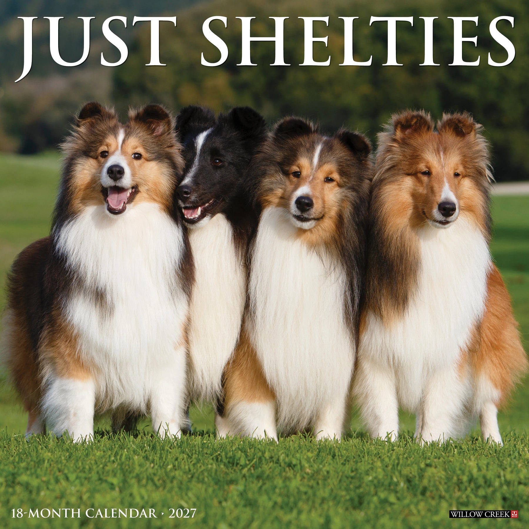 Willow Creek Press - 2027 Shelties Calendar