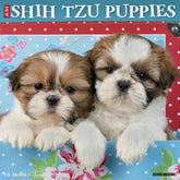 Willow Creek Press - 2027 Shih Tzu Puppies Calendar
