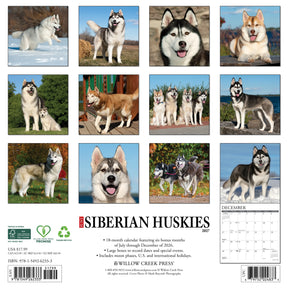 Willow Creek Press - 2027 Siberian Huskies Calendar
