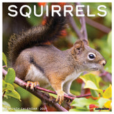 Willow Creek Press - 2027 Squirrels Calendar