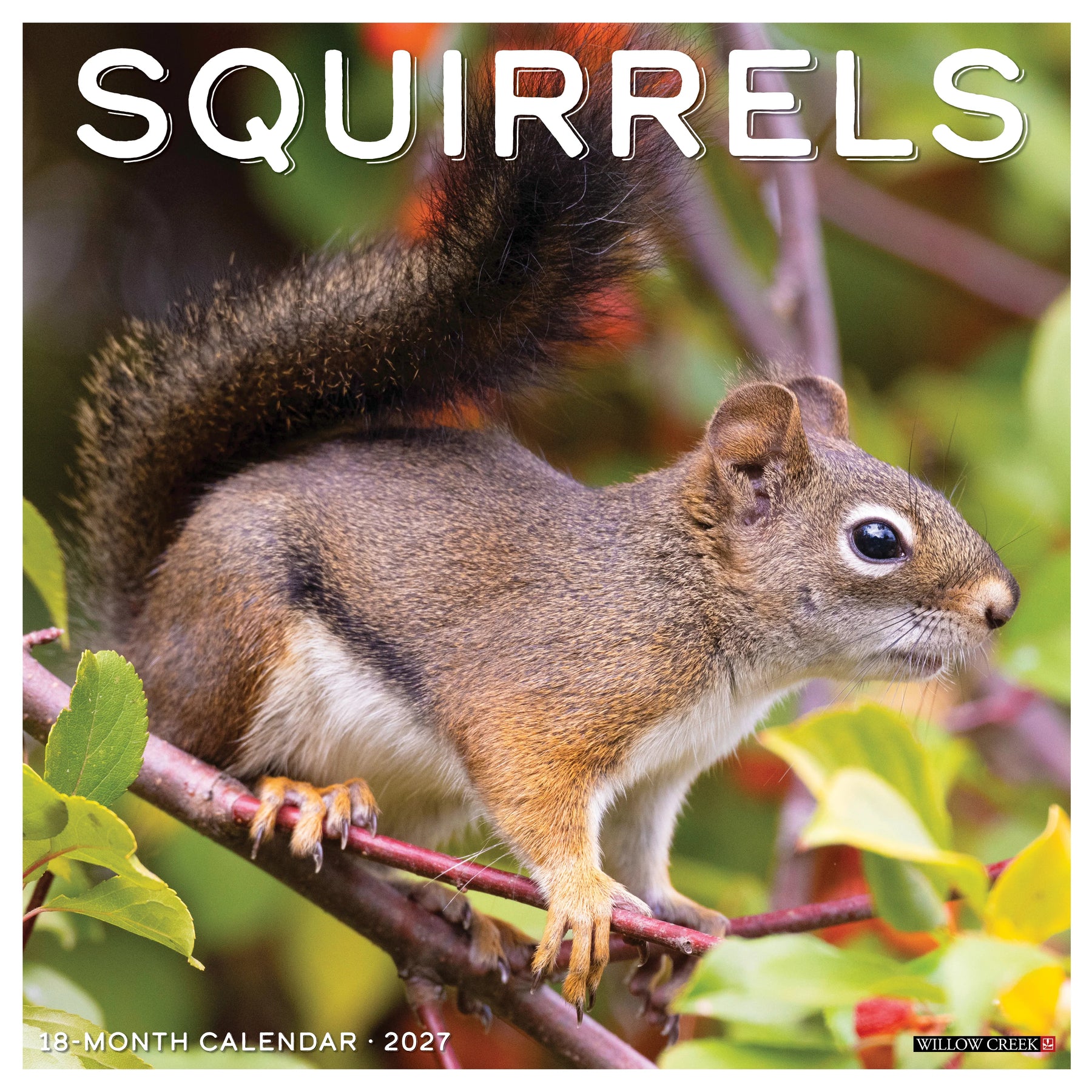 Willow Creek Press - 2027 Squirrels Calendar
