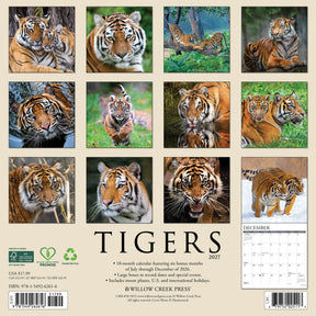 Willow Creek Press - 2027 Tigers Calendar