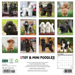 Willow Creek Press - 2027 Toy & Miniature Poodles Calendar