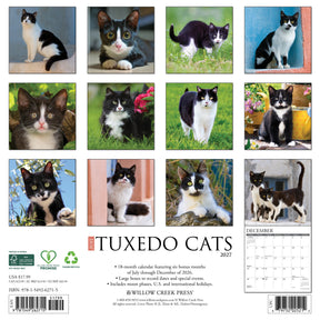 Willow Creek Press - 2027 Tuxedo Cats Calendar