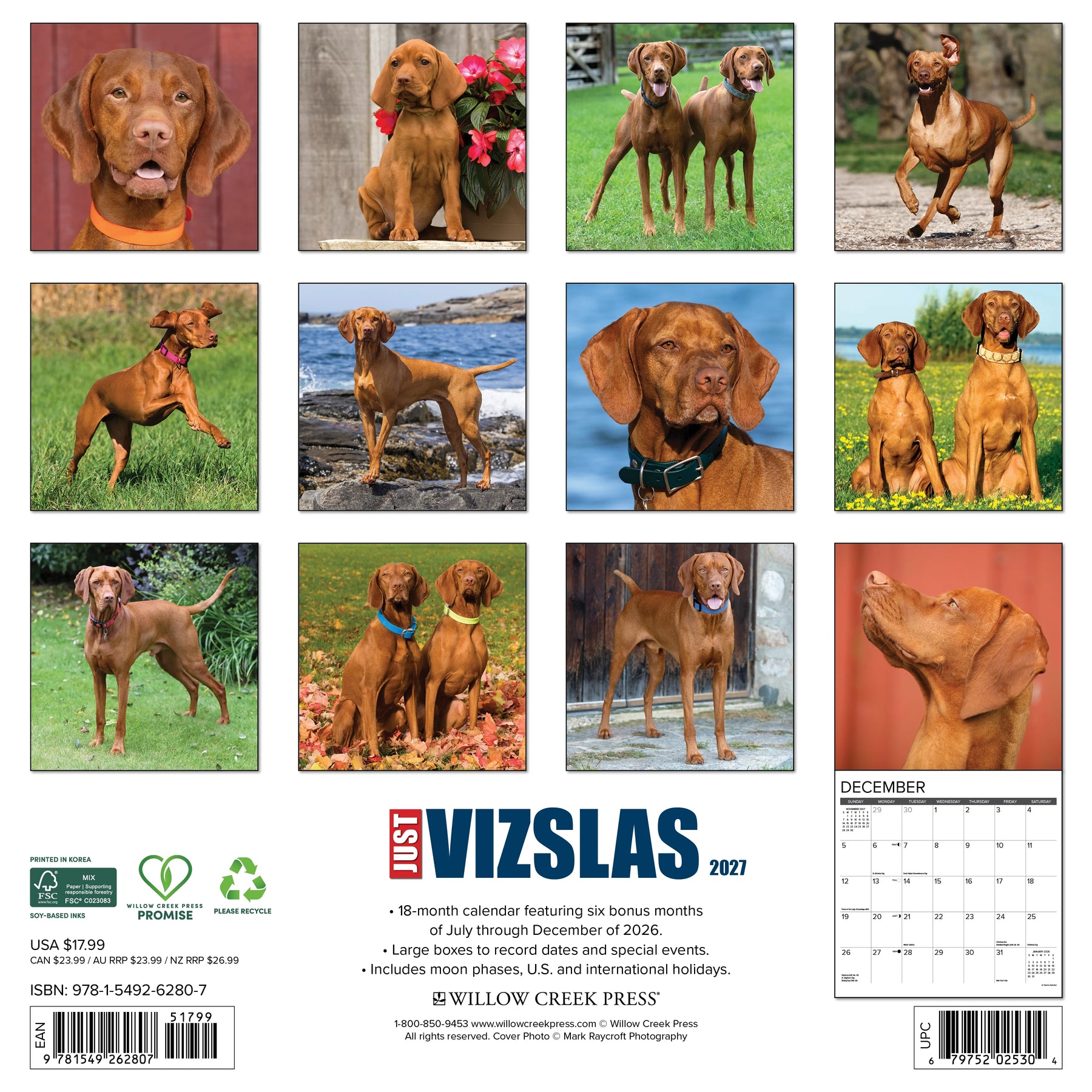 Willow Creek Press - 2027 Vizslas Calendar