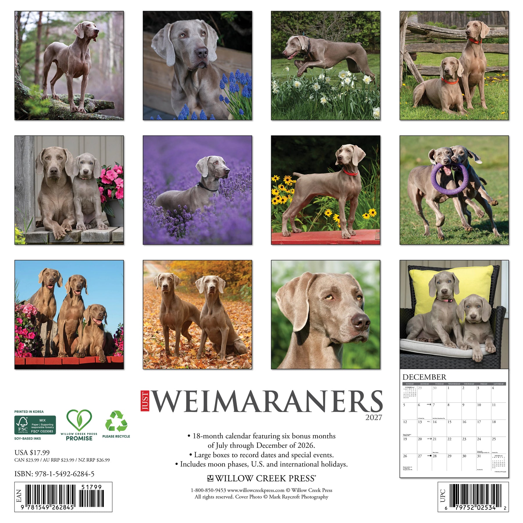 Willow Creek Press - 2027 Weimaraners Calendar
