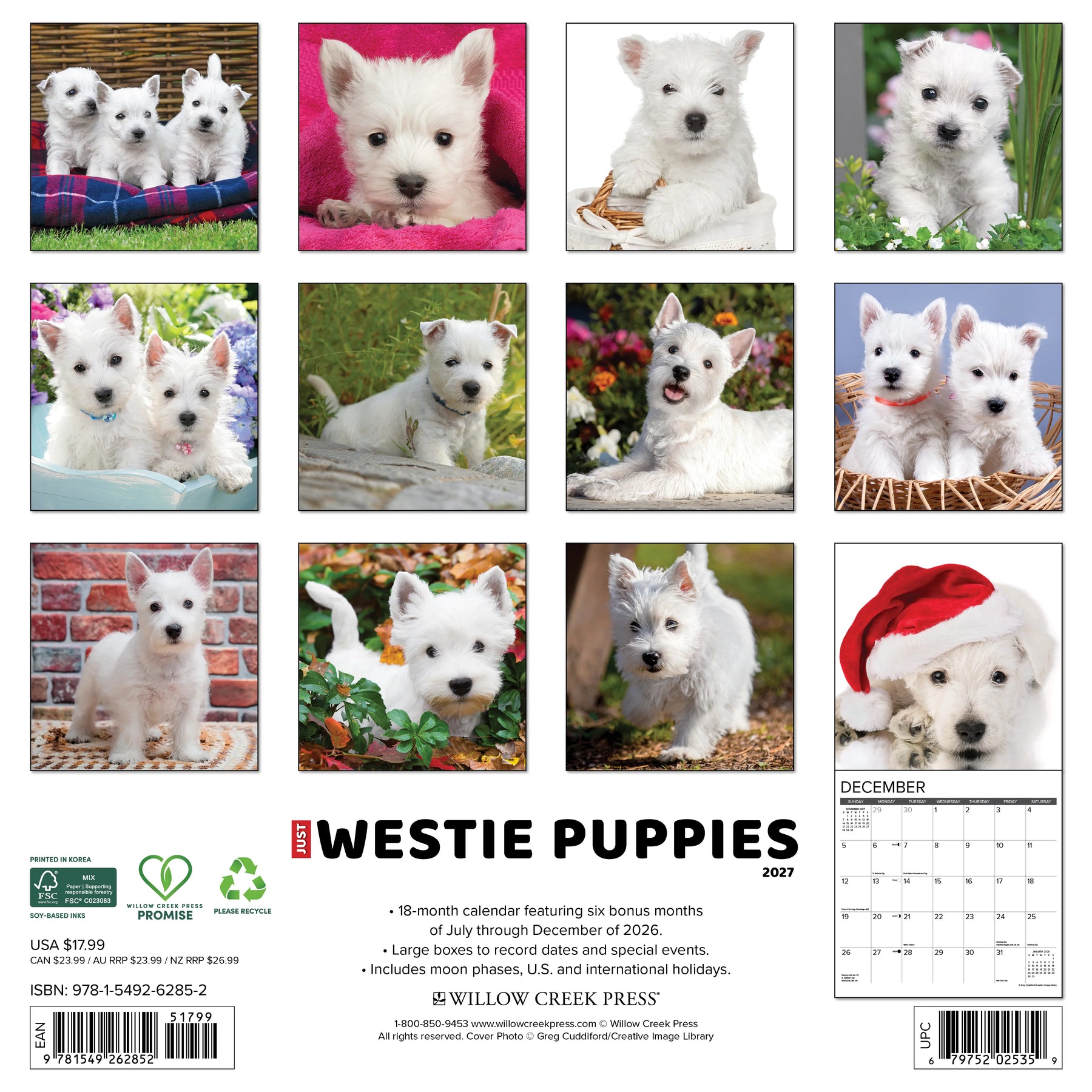 Willow Creek Press - 2027 Westie Puppies Calendar