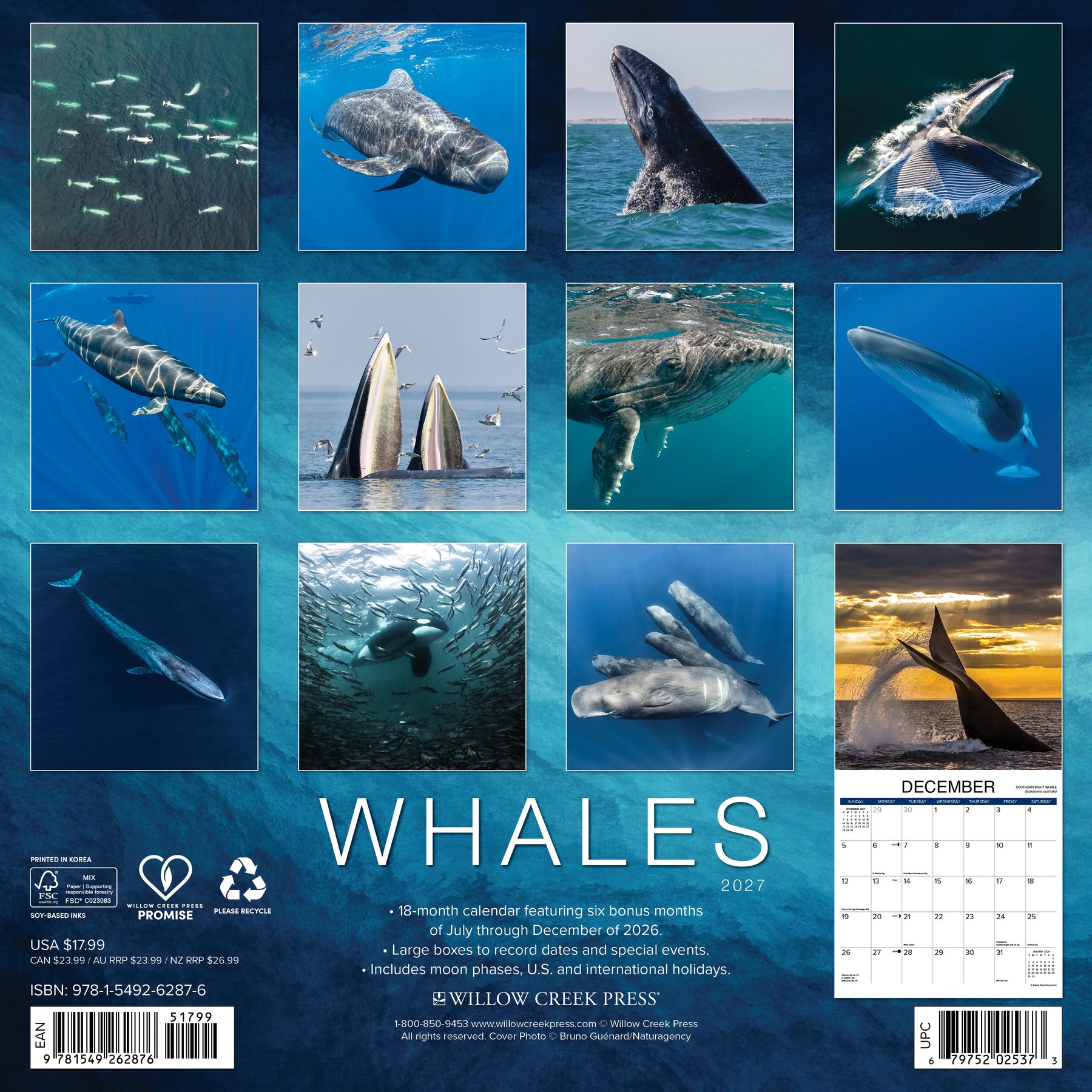 Willow Creek Press - 2027 Whales Calendar