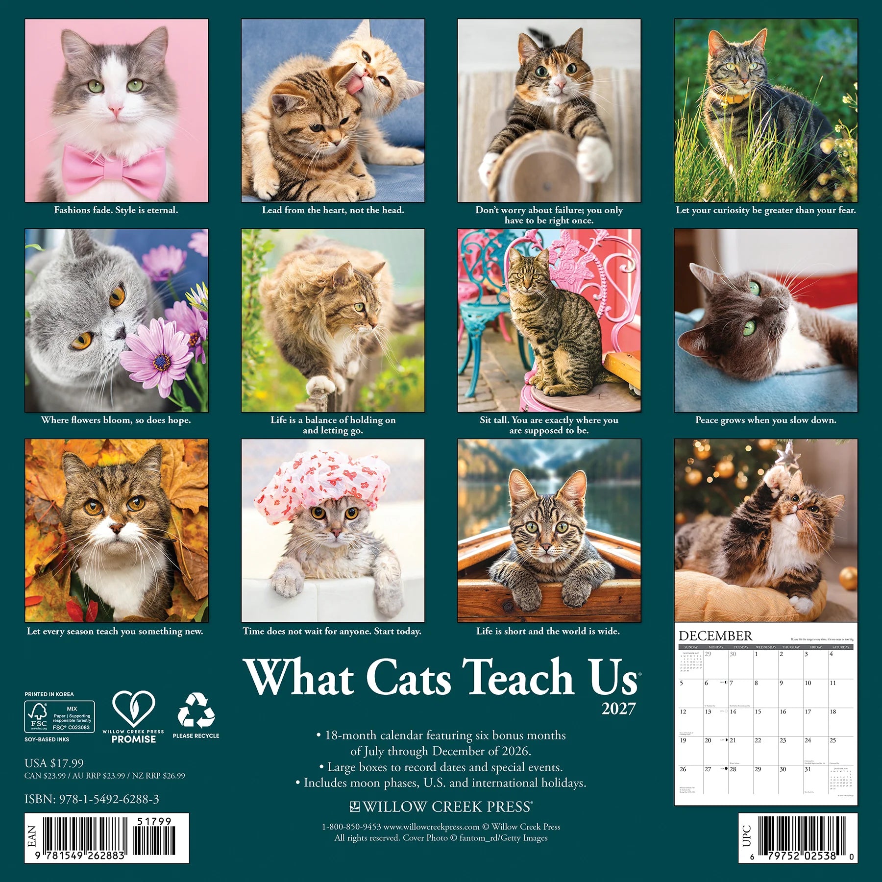 Willow Creek Press - 2027 What Cats Teach Us Calendar