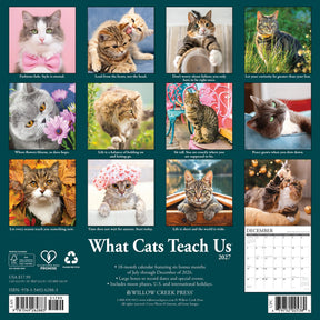 Willow Creek Press - 2027 What Cats Teach Us Calendar