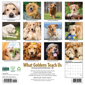 Willow Creek Press - 2027 What Goldens Teach Us Calendar