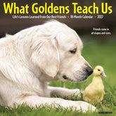 Willow Creek Press - 2027 What Goldens Teach Us Calendar