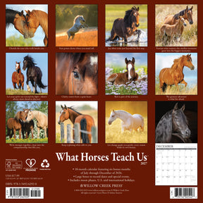 Willow Creek Press - 2027 What Horses Teach Us Calendar