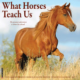 Willow Creek Press - 2027 What Horses Teach Us Calendar
