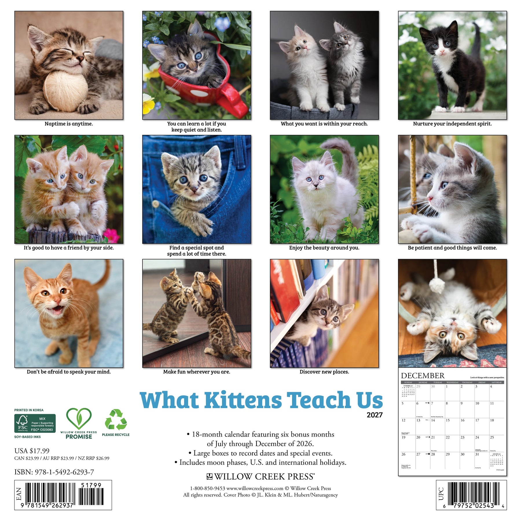 Willow Creek Press - 2027 What Kittens Teach Us Calendar