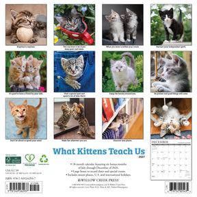 Willow Creek Press - 2027 What Kittens Teach Us Calendar