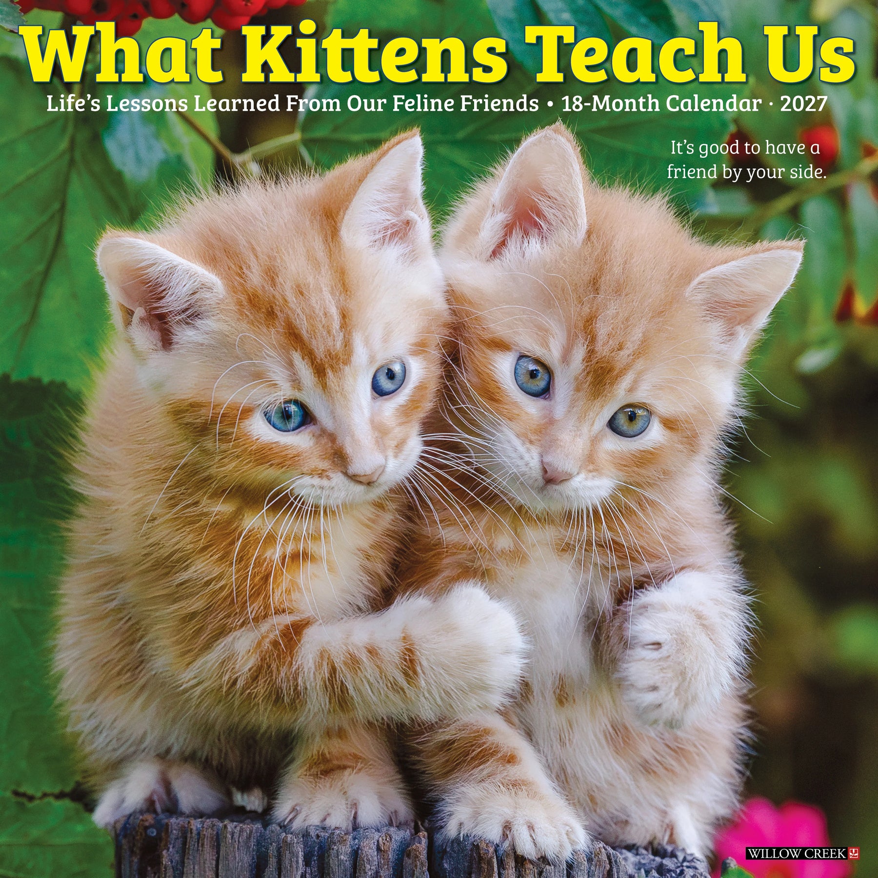Willow Creek Press - 2027 What Kittens Teach Us Calendar