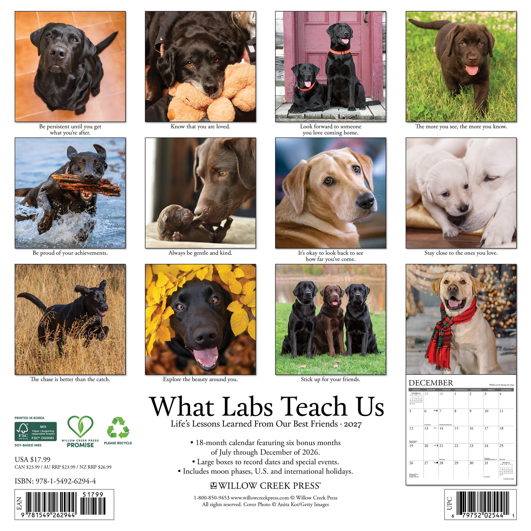 Willow Creek Press - 2027 What Labs Teach Us Calendar