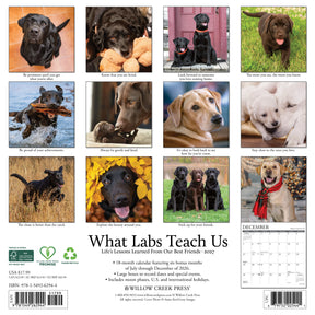 Willow Creek Press - 2027 What Labs Teach Us Calendar