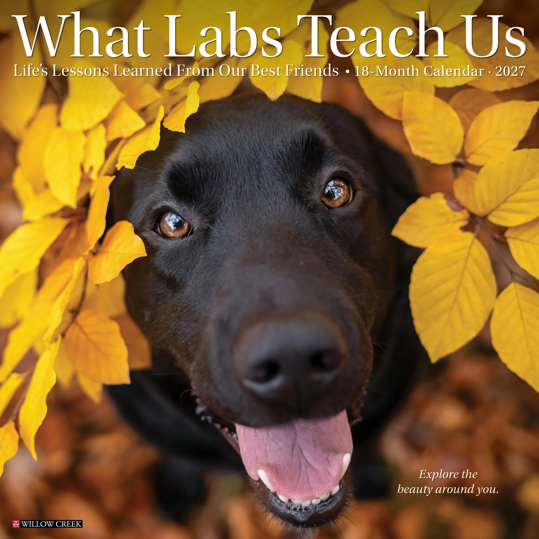 Willow Creek Press - 2027 What Labs Teach Us Calendar