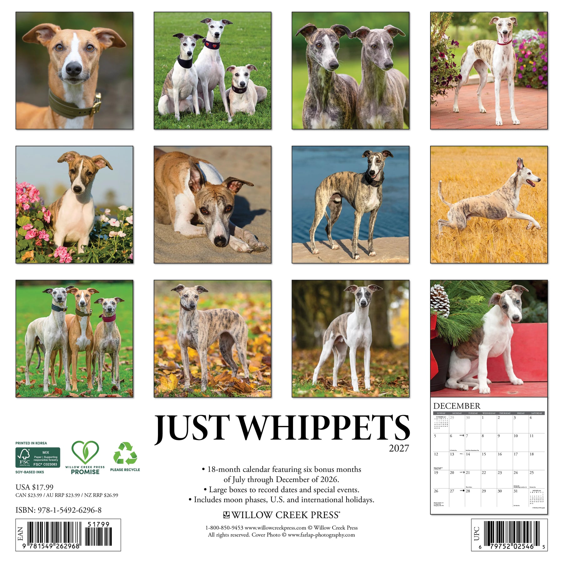 Willow Creek Press - 2027 Whippets Calendar