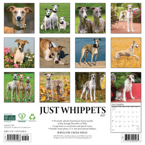 Willow Creek Press - 2027 Whippets Calendar