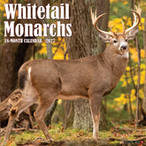 Willow Creek Press - 2027 Whitetail Monarchs Calendar
