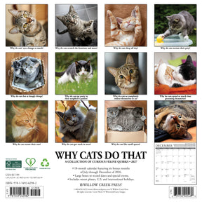 Willow Creek Press - 2027 Why Cats Do That Calendar