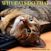 Willow Creek Press - 2027 Why Cats Do That Calendar