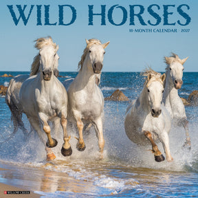 Willow Creek Press - 2027 Wild Horses Calendar