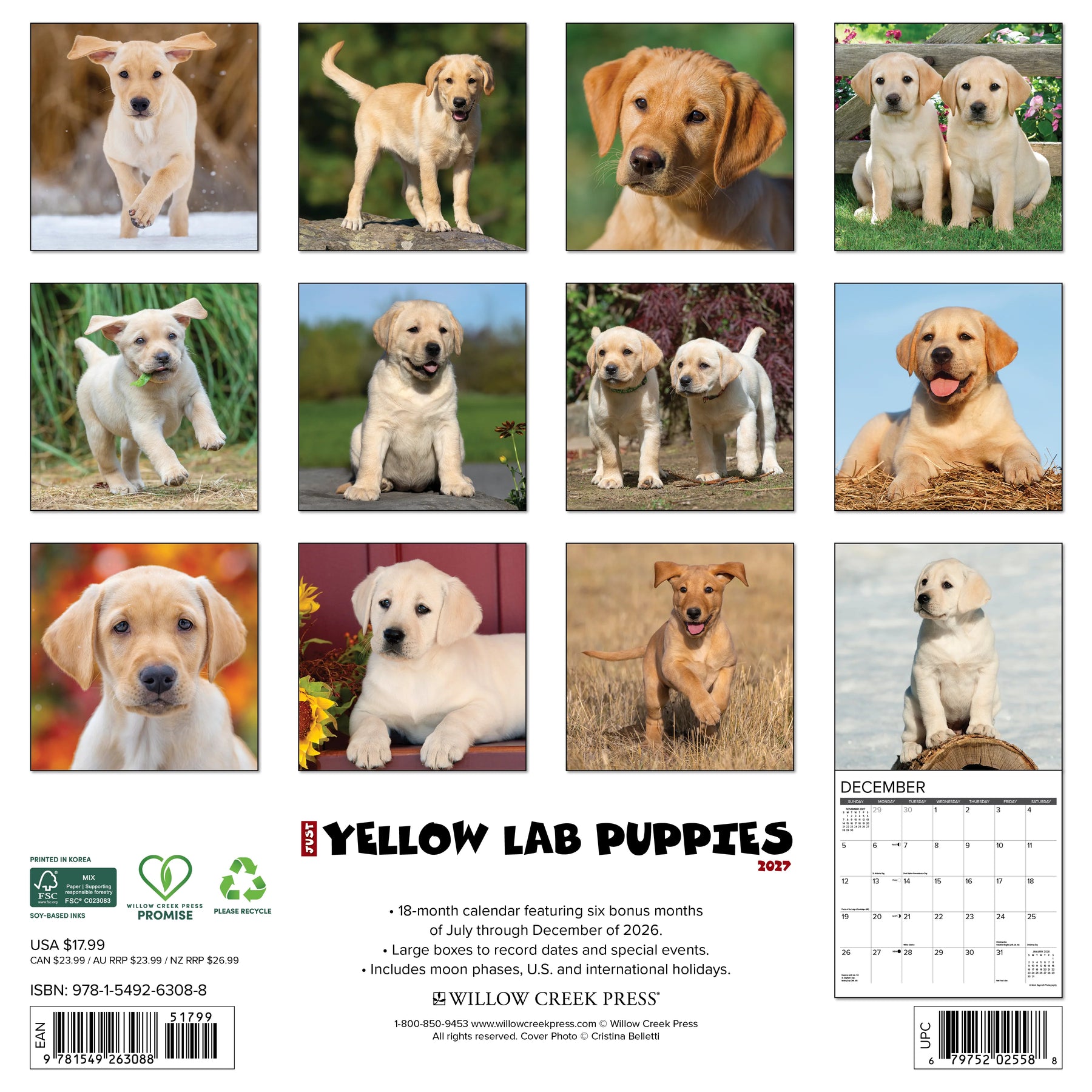 Willow Creek Press - 2027 Yellow Lab Puppies Calendar