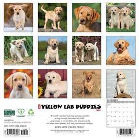 Willow Creek Press - 2027 Yellow Lab Puppies Calendar
