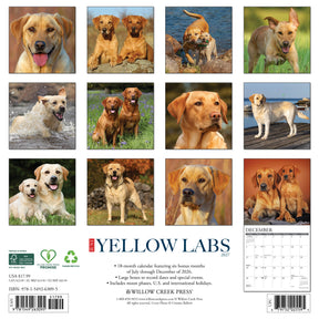Willow Creek Press - 2027 Yellow Labs Calendar