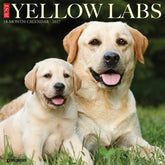 Willow Creek Press - 2027 Yellow Labs Calendar