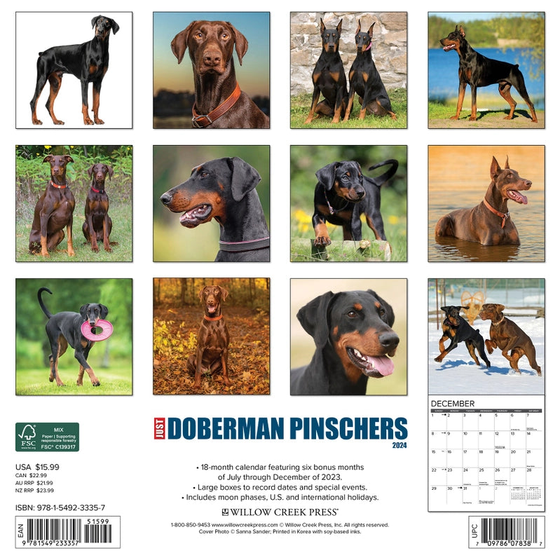 2024 Doberman Pinschers Calendar