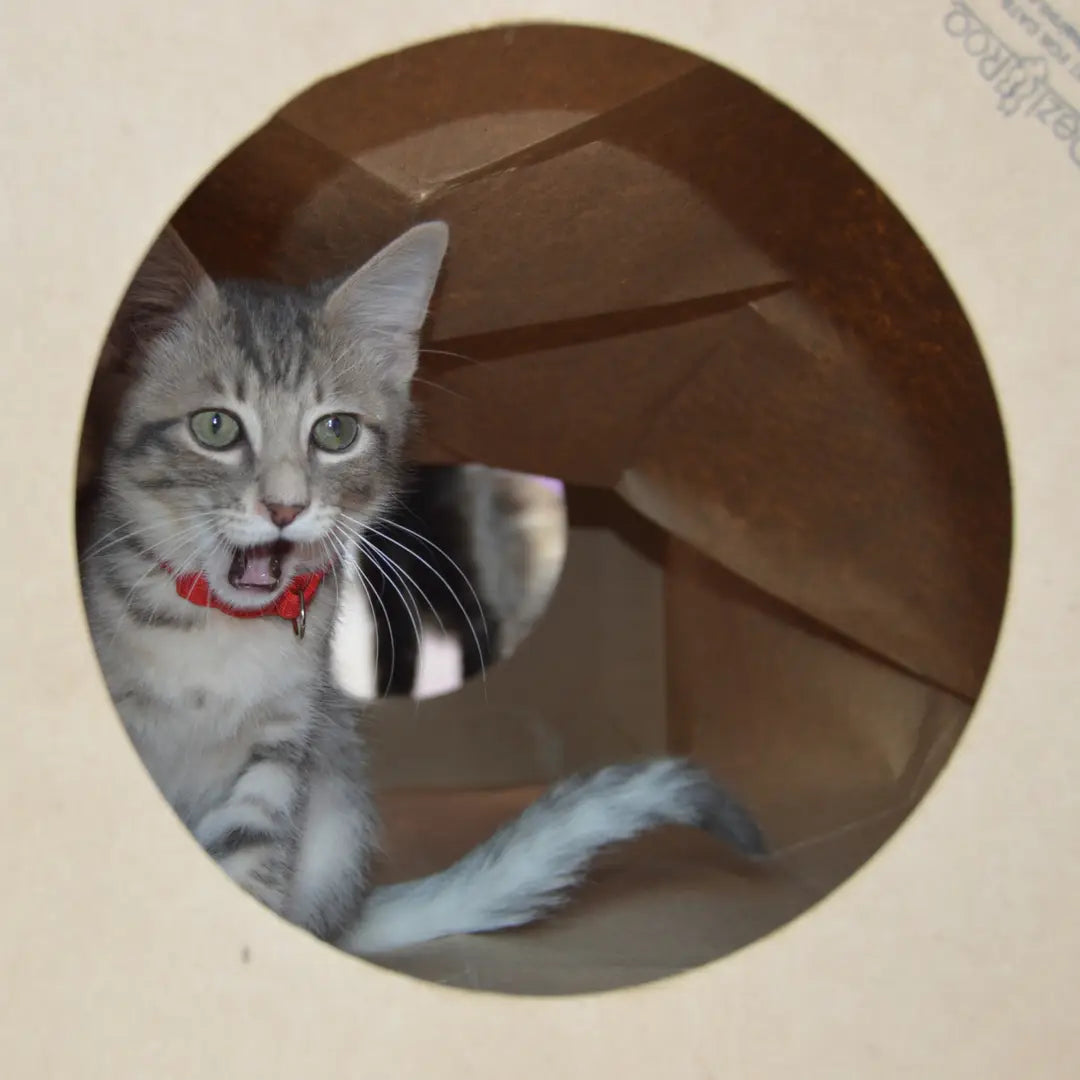 Cat Hide & Sneak Tunnel Paper