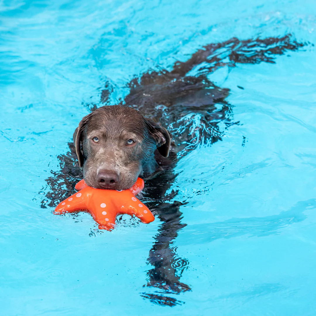 Petshop by Fringe Studio - Shelly Floating Dog Toy