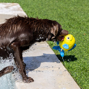 Petshop by Fringe Studio - Dog Toy Pipsqueak Floating