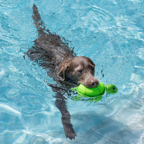 Petshop by Fringe Studio - Snappy Floating Dog Toy