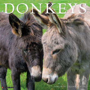 Willow Creek Press - 2027 Donkeys Calendar
