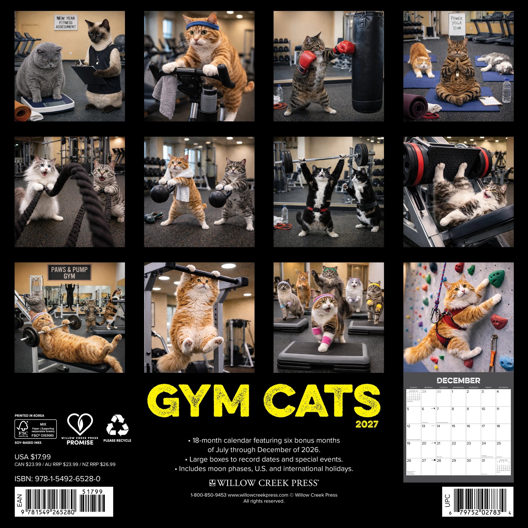 Willow Creek Press - 2027 Gym Cats Calendar